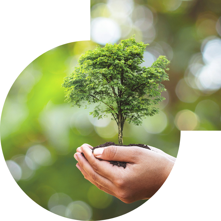 關懷人類、文化、環境與社會